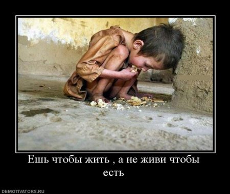 11 правил питания