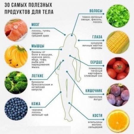 11 правил питания