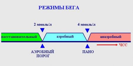 С чего начинать бегать? Тест для начинающих.