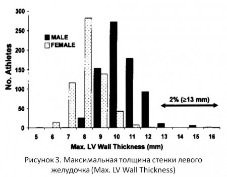 Как бег на длинные дистанции влияет на сердце бегуна
