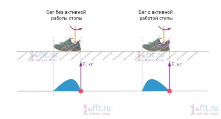 Бег «с мыска» или «с пятки»?